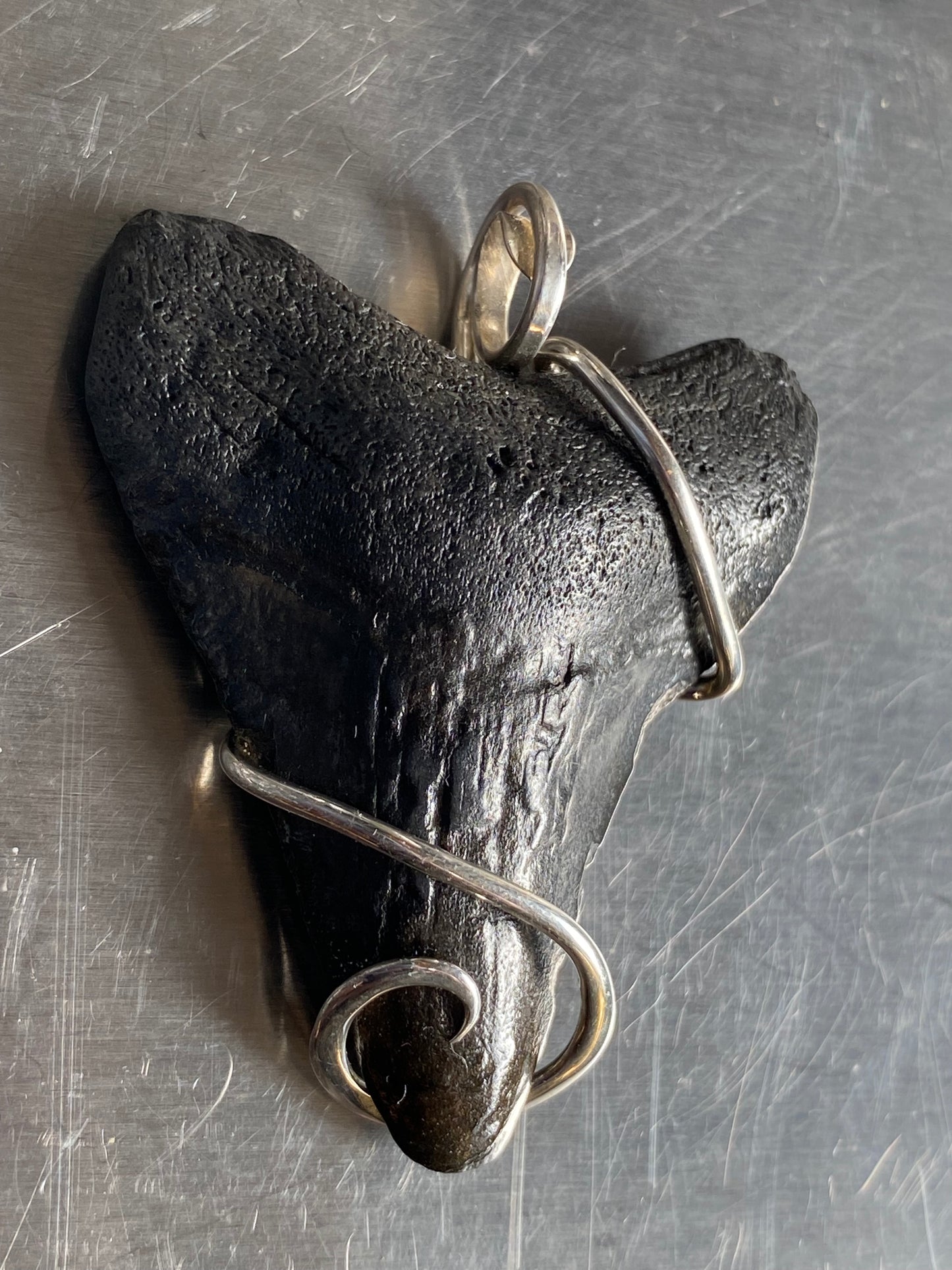 Megalodon Shark Tooth in Sterling Silver Tension Wrapped Pendant