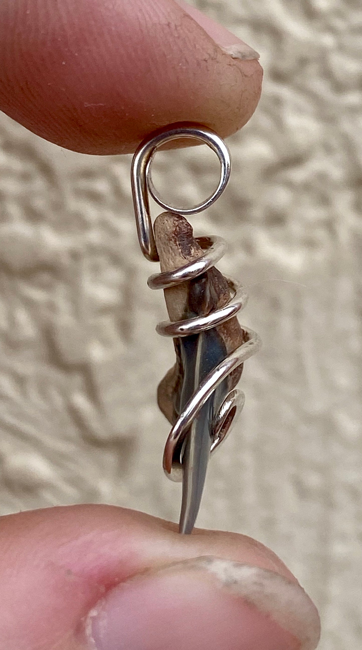 Natural Shark Tooth in Sterling Silver Tension Wrapped Pendant