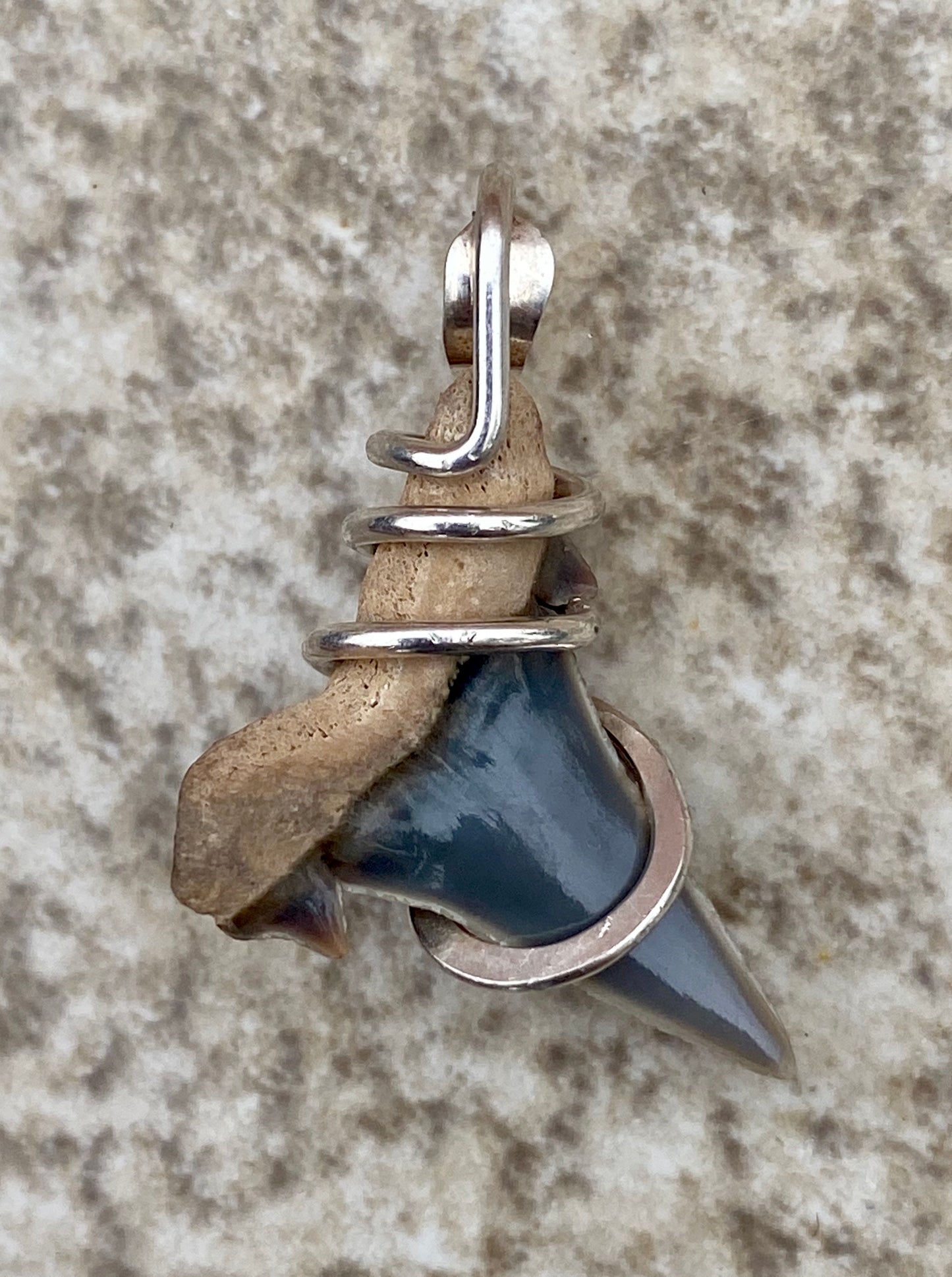 Natural Shark Tooth in Sterling Silver Tension Wrapped Pendant