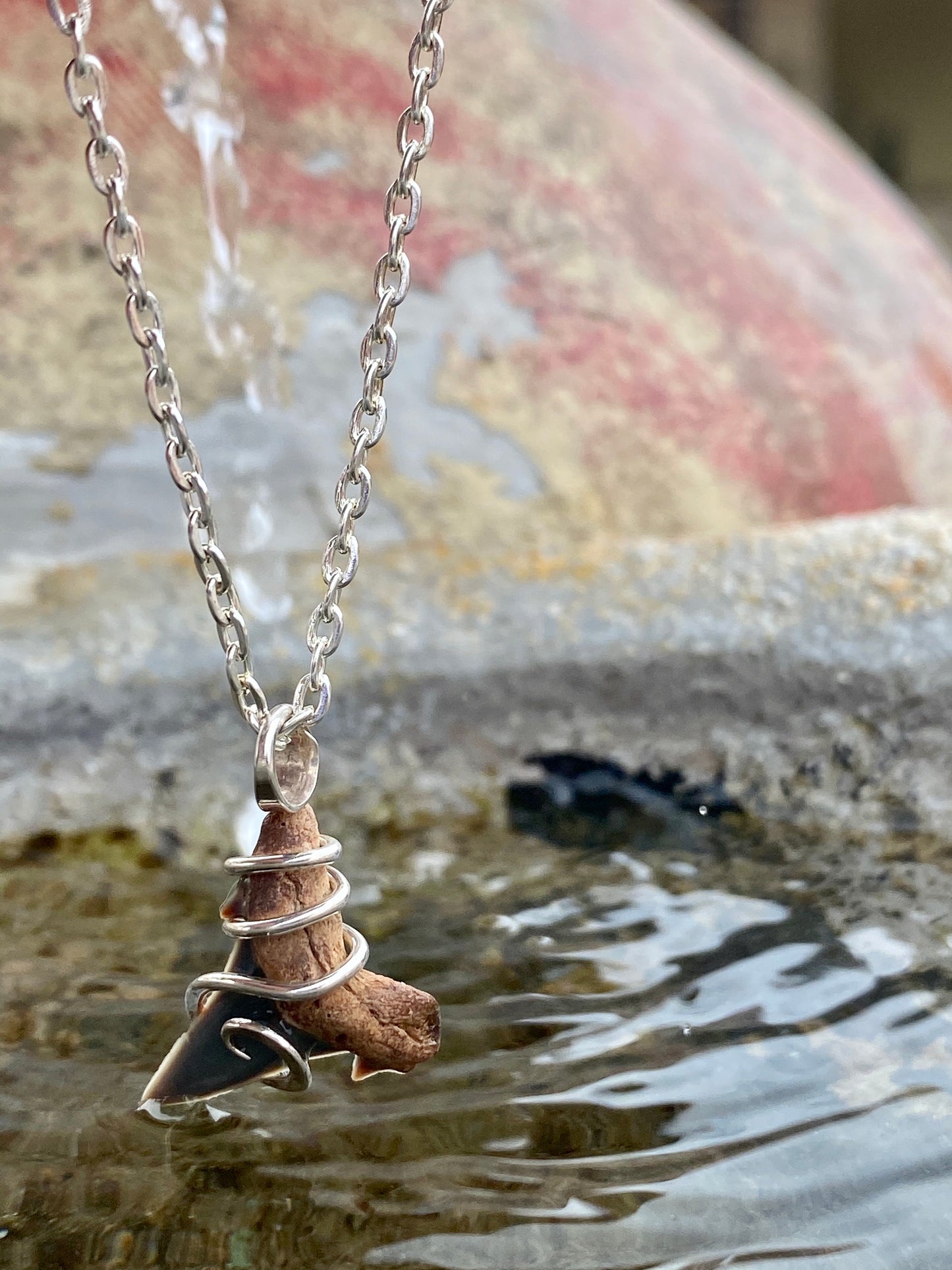 Natural Shark Tooth in Sterling Silver Tension Wrapped Pendant