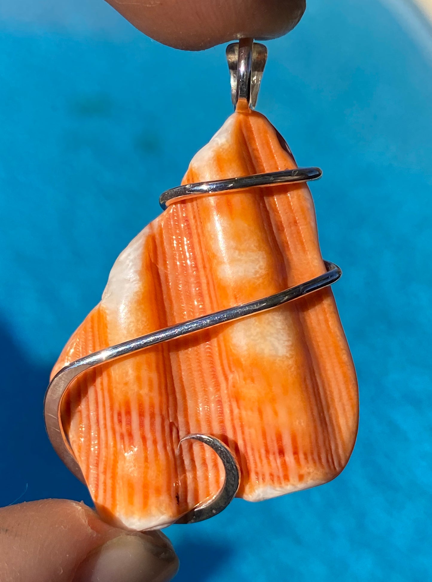 Spiny Oyster Shell in Sterling Silver Tension Wrapped Pendant