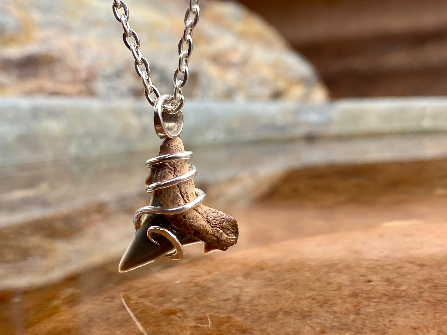Natural Shark Tooth in Sterling Silver Tension Wrapped Pendant