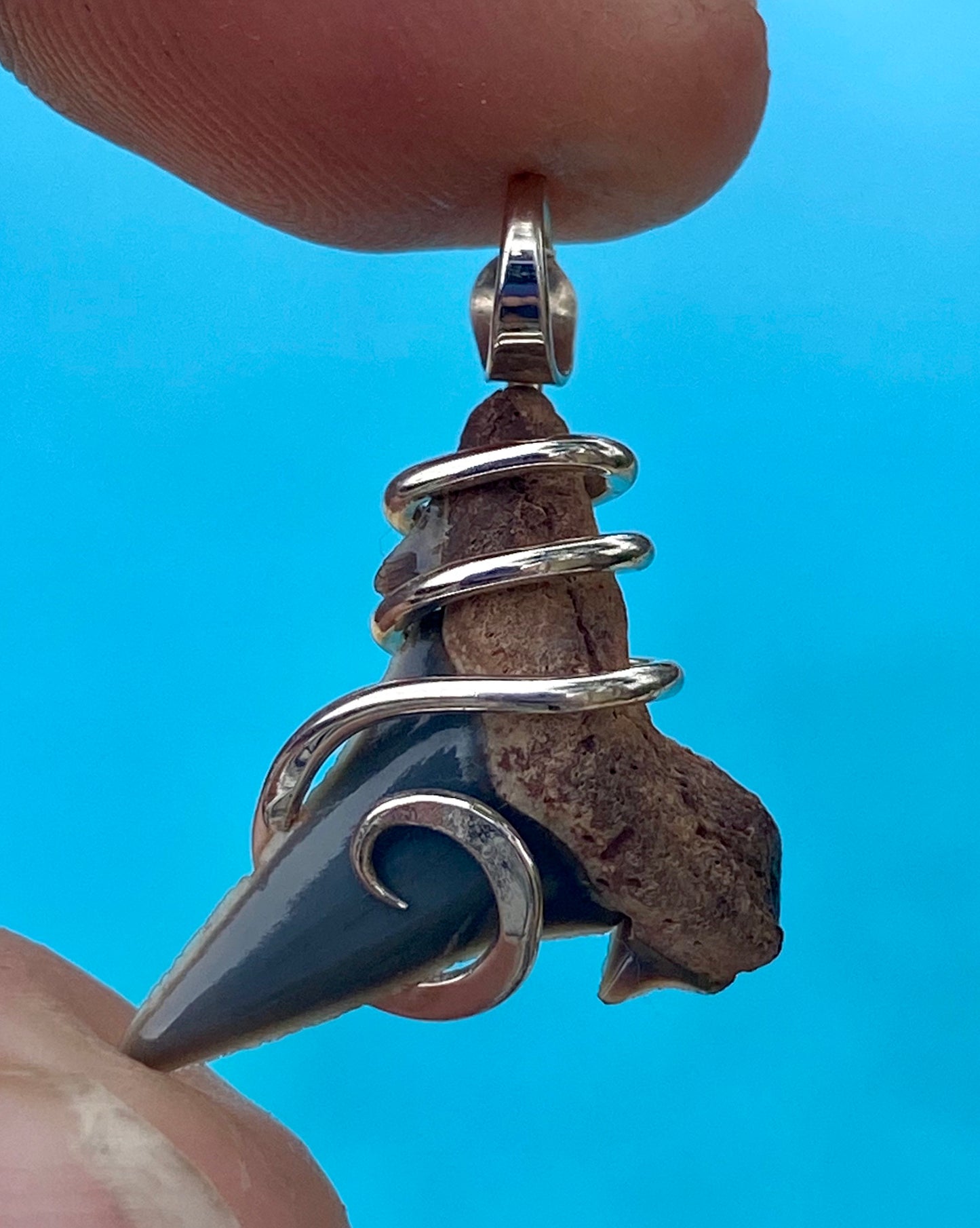Natural Shark Tooth in Sterling Silver Tension Wrapped Pendant