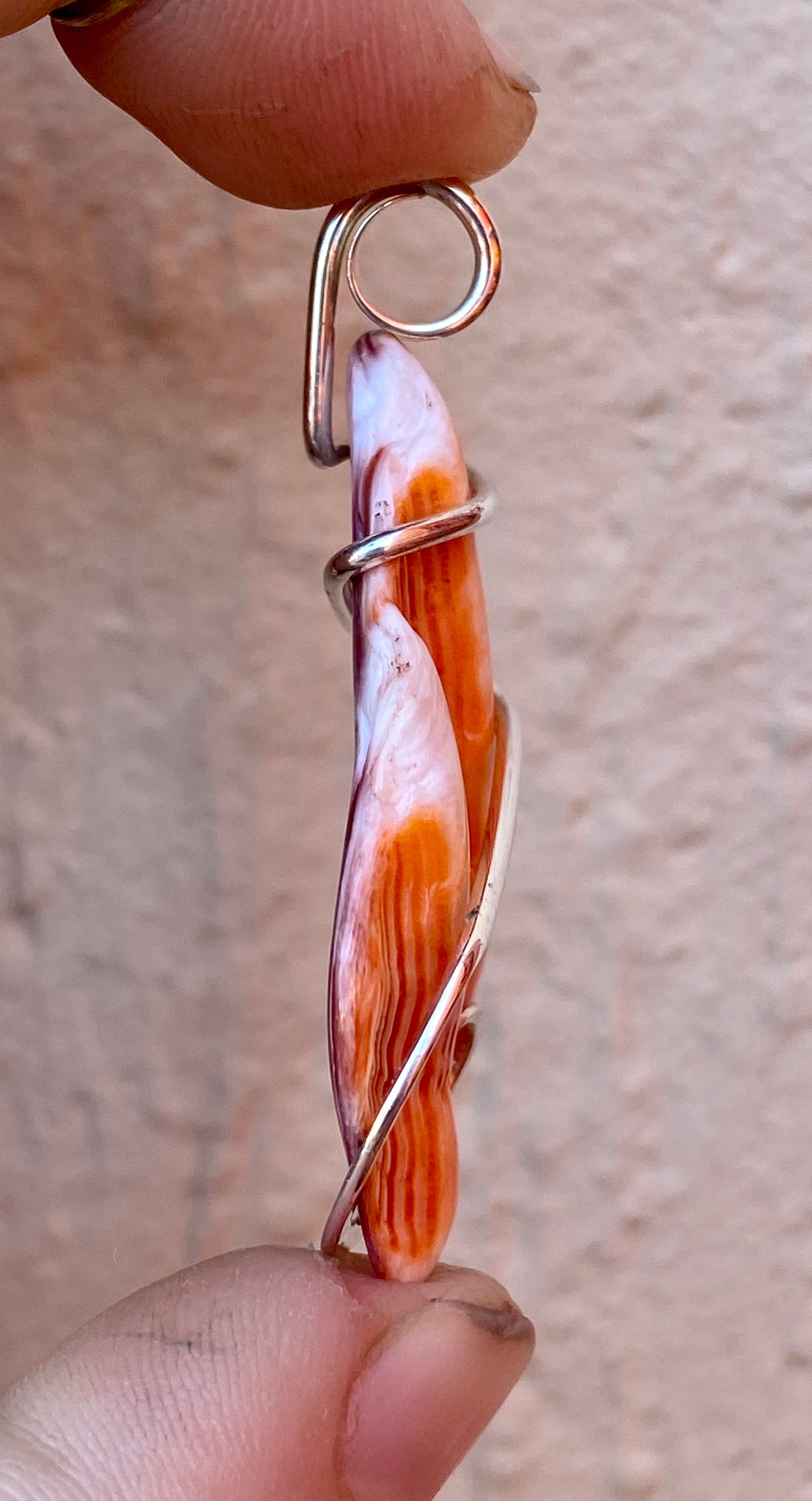 Spiny Oyster Shell in Sterling Silver Tension Wrapped Pendant