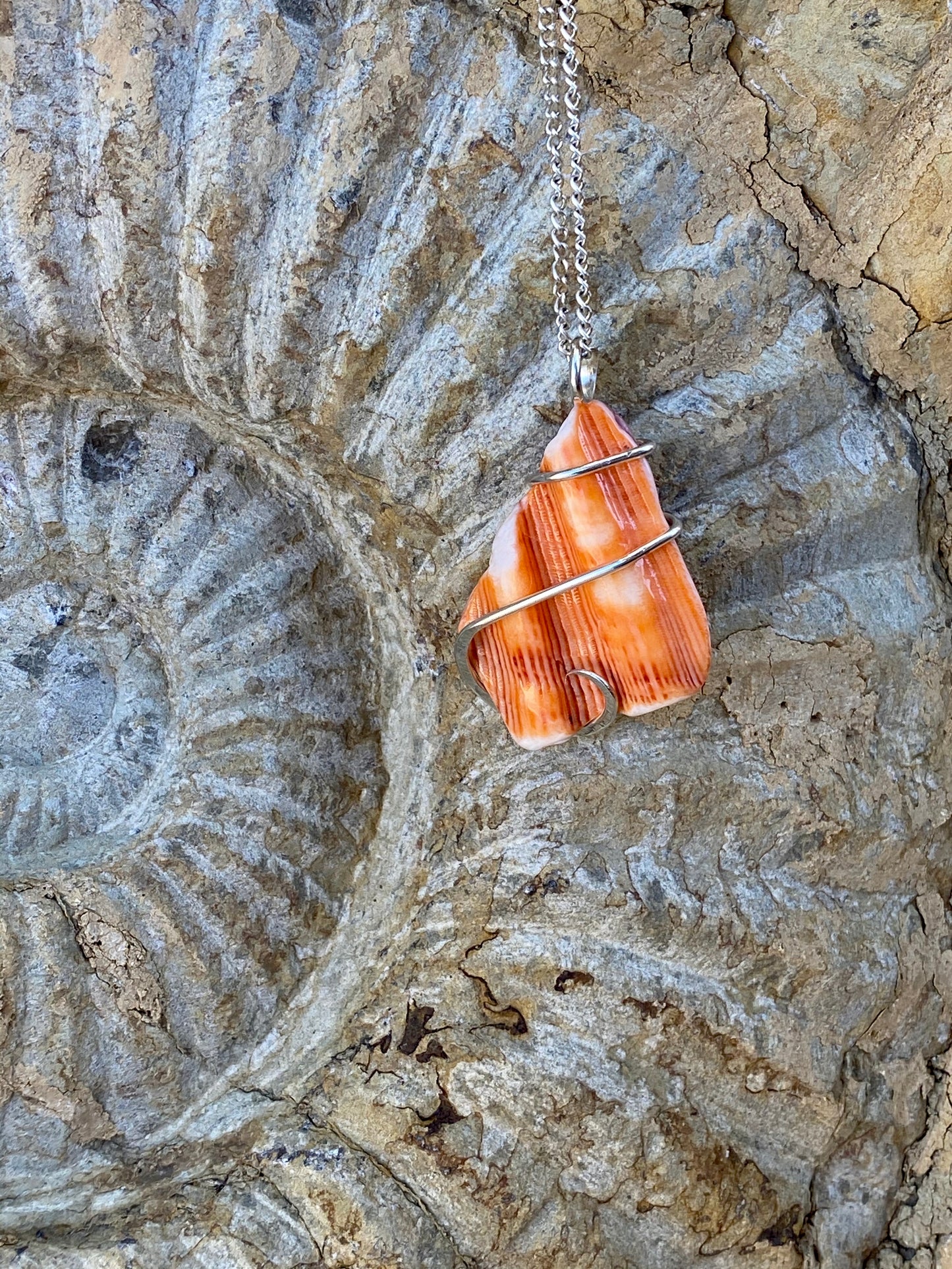 Spiny Oyster Shell in Sterling Silver Tension Wrapped Pendant