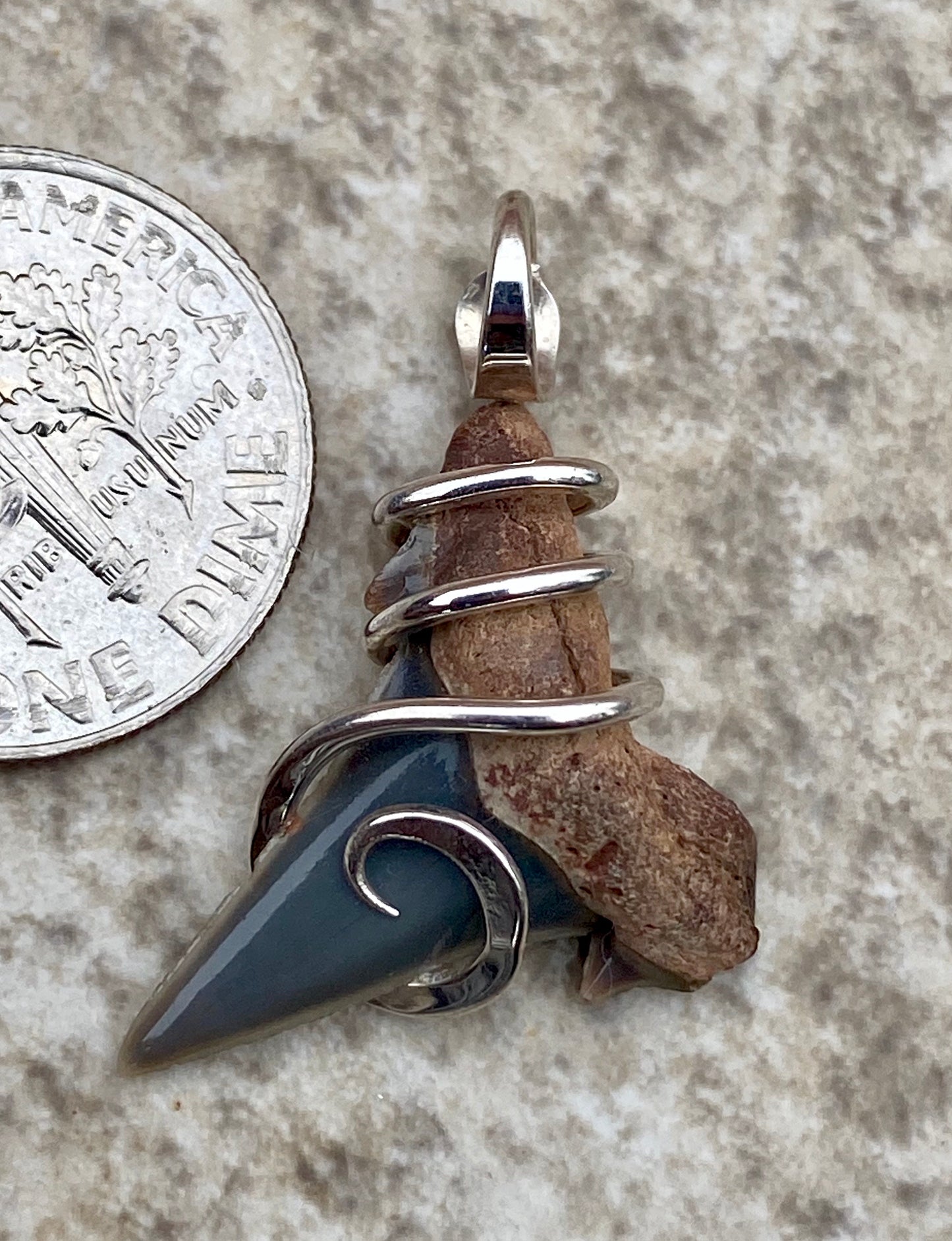 Natural Shark Tooth in Sterling Silver Tension Wrapped Pendant