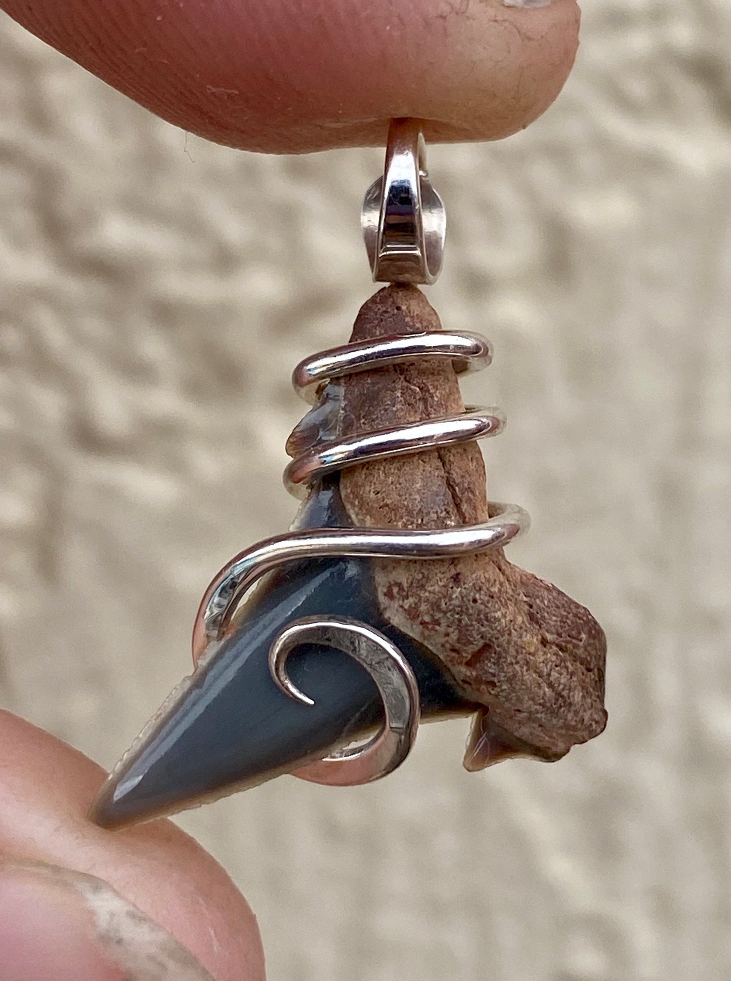 Natural Shark Tooth in Sterling Silver Tension Wrapped Pendant
