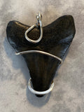 Megalodon Shark Tooth in Sterling Silver Tension Wrapped Pendant