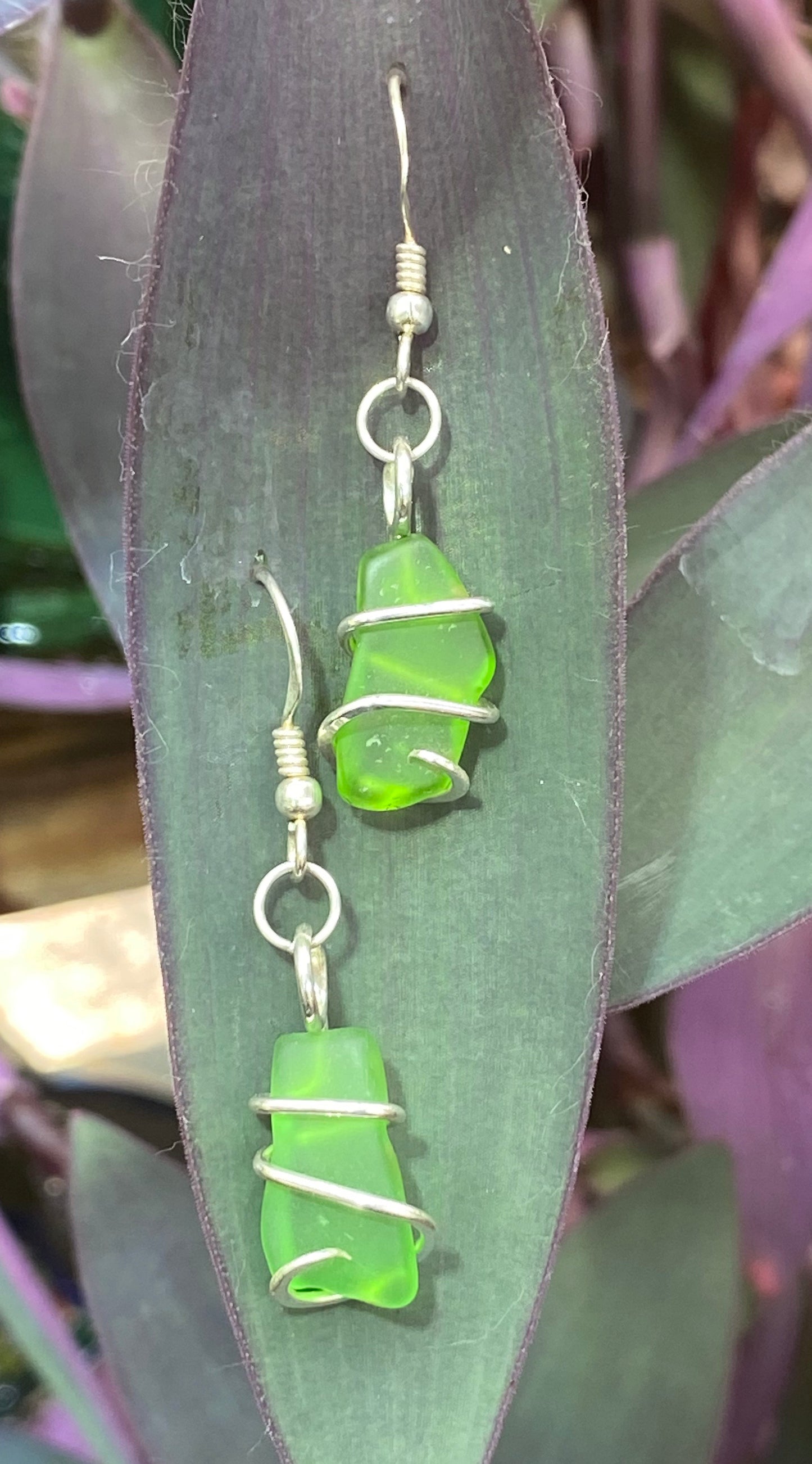 Green Sea Glass Pair in Sterling Silver Tension Wrapped Earrings