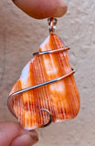 Spiny Oyster Shell in Sterling Silver Tension Wrapped Pendant