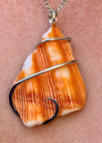 Spiny Oyster Shell in Sterling Silver Tension Wrapped Pendant